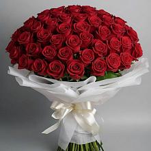 Букет 101 Красная роза Блэк Мэджик в Новоильинске