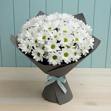 Букет цветов из:  Хризантемы в Новоильинске