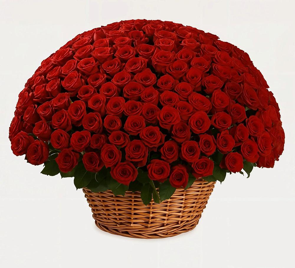 Премиум букет из: Розы в Новоильинске