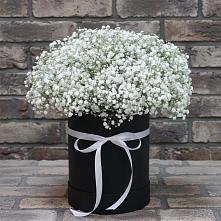 Цветочная композиция из Гипсофила в шляпной коробке в Новоильинске