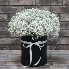 Цветочная композиция из Гипсофила в шляпной коробке в Новоильинске