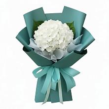 Букет цветов из:  Гортензия в Новоильинске